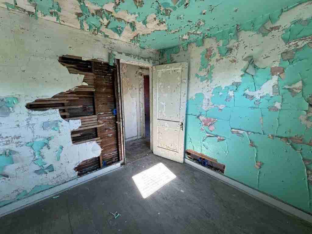 20241017_163057960_iOS (2).jpg